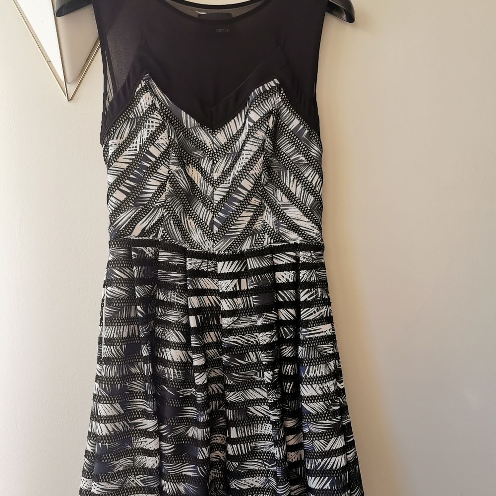 Greylin black and white dress